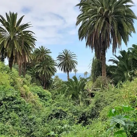 Apartment Exotic Ocean View Los Realejos