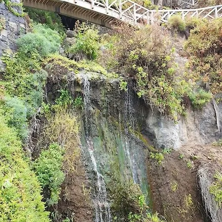 Apartment Exotic Ocean View *