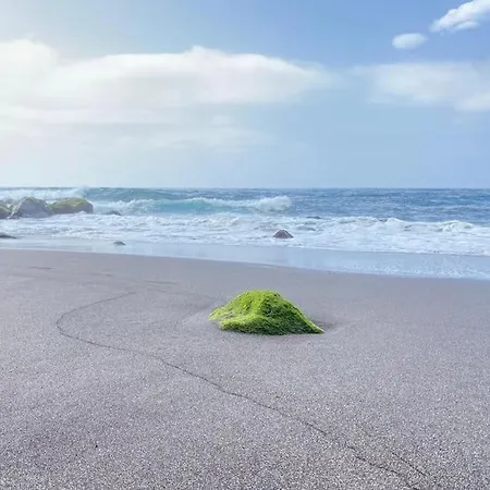 Exotic Ocean View * 로스 레알레호스